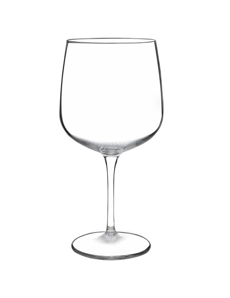 Juego de 6 copas de cristal para gin tonic - Colección PREMIUM.