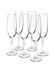 Set de 6 copas de cristal para champán - Colección GASTRO.
