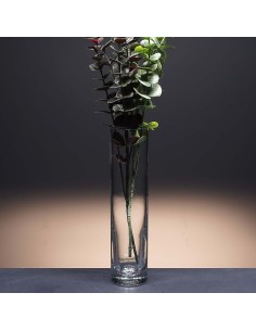 Florero de cristal - Jarrón - Colección 30279. 2