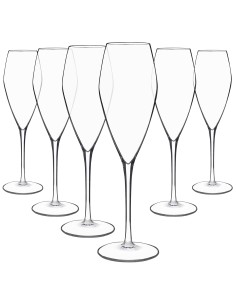 Juego 6 copas de cristal para champán - Colección ATELIER.