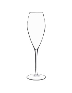 Juego 6 copas de cristal para champán - Colección ATELIER. 2