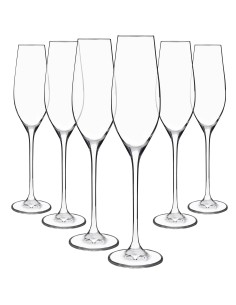Juego 6 copas de cristal para champán - Colección CELEBRATION.